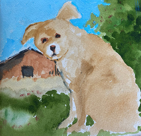 BARN DOG