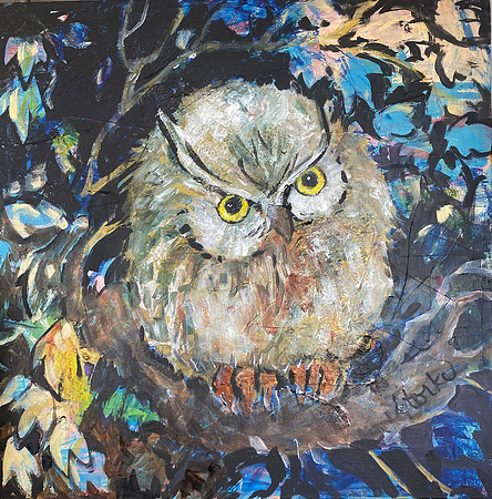 NIGHT STORY TELLER