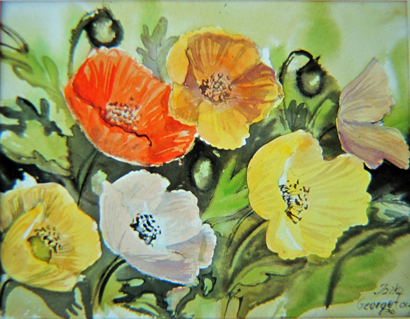 POPPIES_4648_edited-1