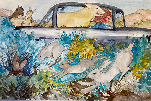 SPRING RIDE