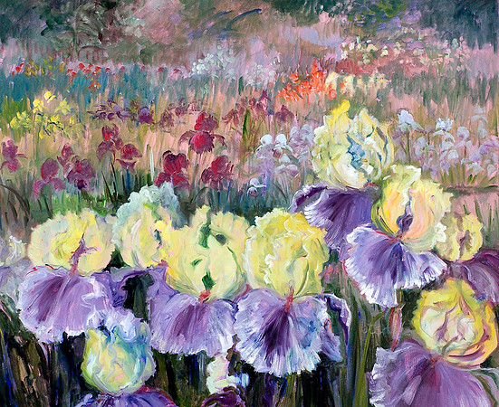 IRIS FIELD